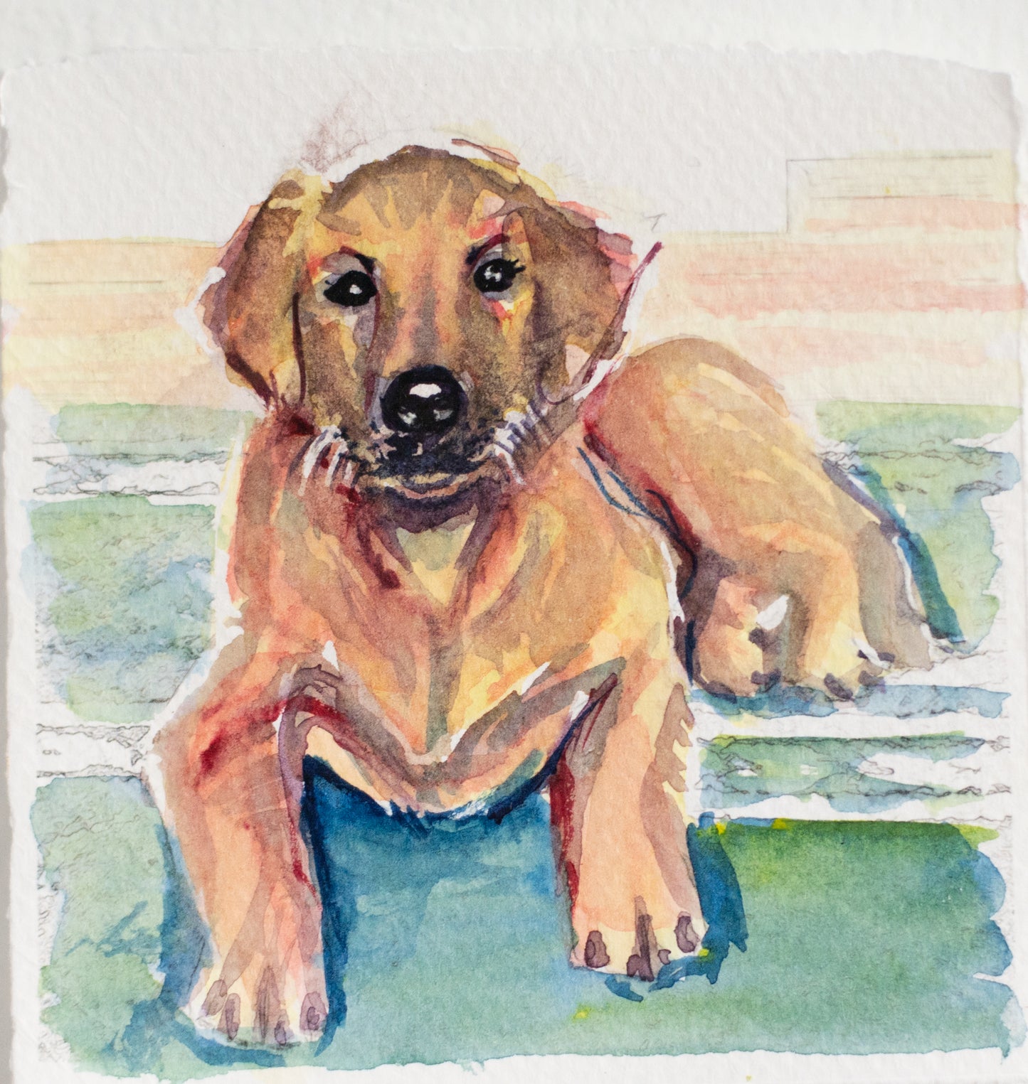 Portable Pet Portrait 4x4inches on Fine Art Cold Pressed Paper